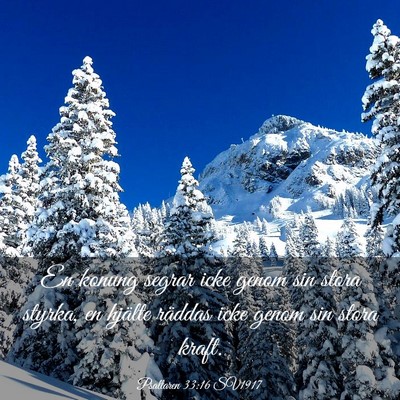 Picture 03 - Psaltaren 33:16 SV1917 - En konung segrar icke genom sin stora styrka, en - Bible Verse Picture