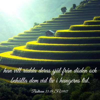 Picture 03 - Psaltaren 33:19 SV1917 - han vill rädda deras själ från döden och - Bible Verse Picture