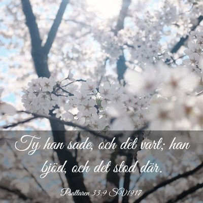 Picture 03 - Psaltaren 33:9 SV1917 - Ty han sade, och det vart; han bjöd, och det - Bible Verse Picture