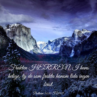Picture 03 - Psaltaren 34:10 SV1917 - Frukten HERREN, I hans helige; ty de som frukta - Bible Verse Picture