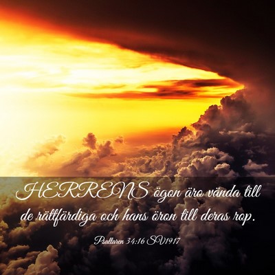 Picture 03 - Psaltaren 34:16 SV1917 - HERRENS ögon äro vända till de rättfärdiga - Bible Verse Picture