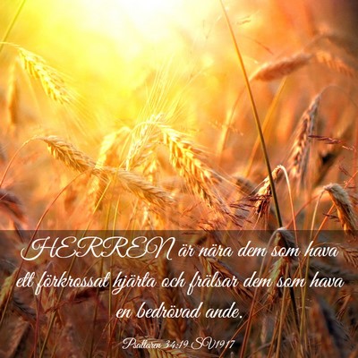Picture 03 - Psaltaren 34:19 SV1917 - HERREN är nära dem som hava ett förkrossat - Bible Verse Picture