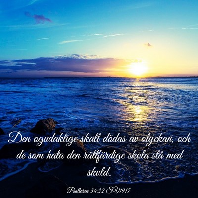 Picture 03 - Psaltaren 34:22 SV1917 - Den ogudaktige skall dödas av olyckan, och de - Bible Verse Picture