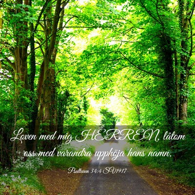 Picture 03 - Psaltaren 34:4 SV1917 - Loven med mig HERREN, låtom oss med varandra - Bible Verse Picture