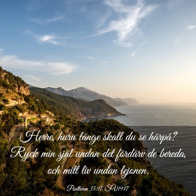 Picture 03 - Psaltaren 35:17 SV1917 - Herre, huru länge skall du se härpå? Ryck min - Bible Verse Picture
