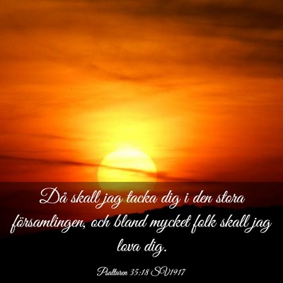 Picture 03 - Psaltaren 35:18 SV1917 - Då skall jag tacka dig i den stora - Bible Verse Picture