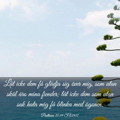 Picture 03 - Psaltaren 35:19 SV1917 - Låt icke dem få glädja sig över mig, som utan - Bible Verse Picture