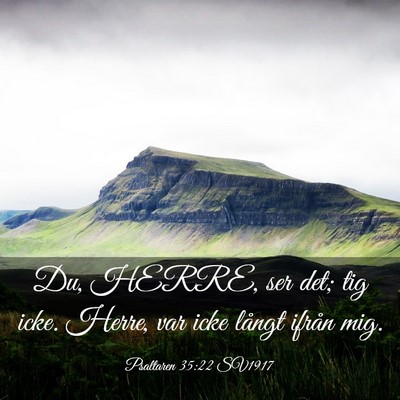 Picture 03 - Psaltaren 35:22 SV1917 - Du, HERRE, ser det; tig icke. Herre, var icke - Bible Verse Picture