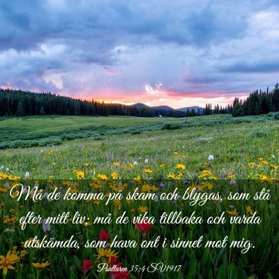 Picture 03 - Psaltaren 35:4 SV1917 - Må de komma på skam och blygas, som stå efter - Bible Verse Picture