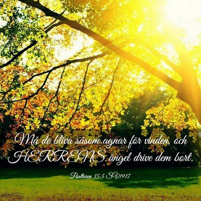 Picture 03 - Psaltaren 35:5 SV1917 - Må de bliva såsom agnar för vinden, och - Bible Verse Picture