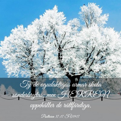 Picture 03 - Psaltaren 37:17 SV1917 - Ty de ogudaktigas armar skola sönderbrytas; men - Bible Verse Picture