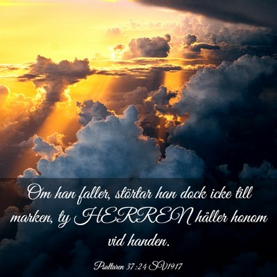 Picture 03 - Psaltaren 37:24 SV1917 - Om han faller, störtar han dock icke till - Bible Verse Picture