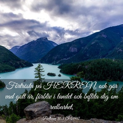 Picture 03 - Psaltaren 37:3 SV1917 - Förtrösta på HERREN, och gör vad gott är, - Bible Verse Picture