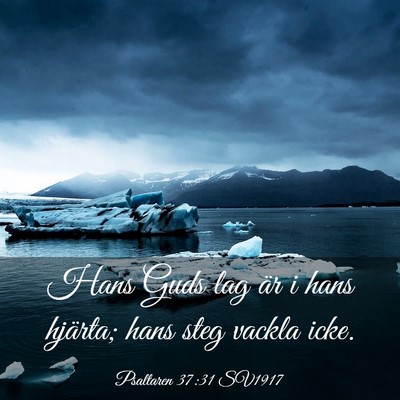 Picture 03 - Psaltaren 37:31 SV1917 - Hans Guds lag är i hans hjärta; hans steg - Bible Verse Picture