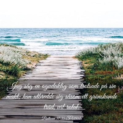 Picture 03 - Psaltaren 37:35 SV1917 - Jag såg en ogudaktig som trotsade på sin makt; - Bible Verse Picture