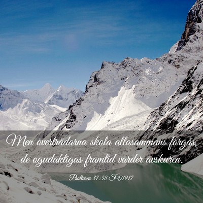 Picture 03 - Psaltaren 37:38 SV1917 - Men överträdarna skola allasammans förgås, de - Bible Verse Picture