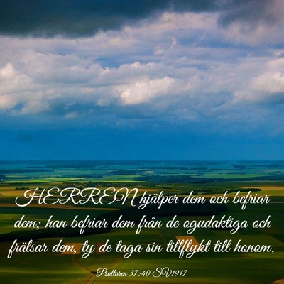 Picture 03 - Psaltaren 37:40 SV1917 - HERREN hjälper dem och befriar dem; han befriar - Bible Verse Picture