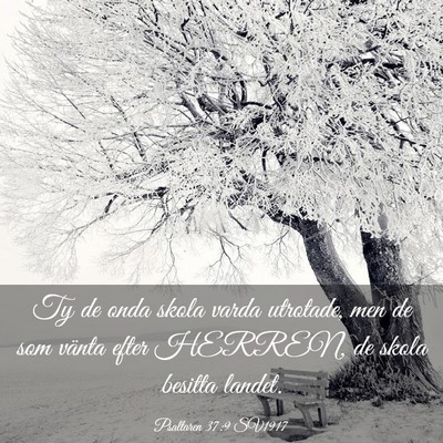 Picture 03 - Psaltaren 37:9 SV1917 - Ty de onda skola varda utrotade, men de som - Bible Verse Picture