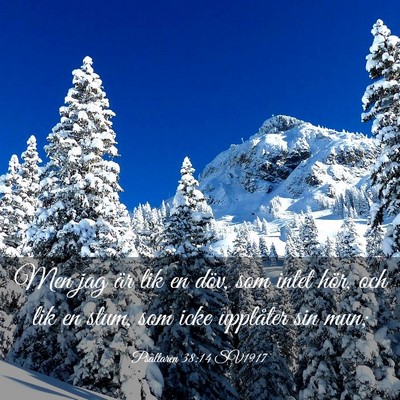 Picture 03 - Psaltaren 38:14 SV1917 - Men jag är lik en döv, som intet hör, och lik - Bible Verse Picture