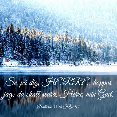 Picture 03 - Psaltaren 38:16 SV1917 - Se, på dig, HERRE, hoppas jag; du skall svara, - Bible Verse Picture