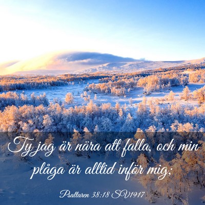 Picture 03 - Psaltaren 38:18 SV1917 - Ty jag är nära att falla, och min plåga är - Bible Verse Picture