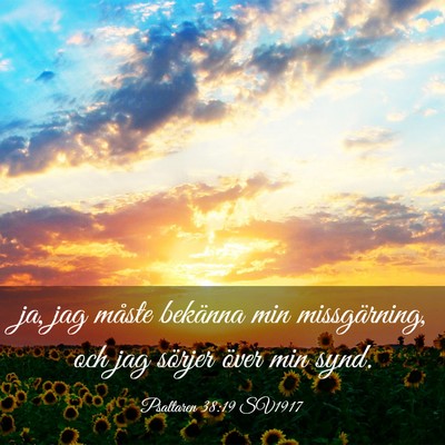 Picture 03 - Psaltaren 38:19 SV1917 - ja, jag måste bekänna min missgärning, och jag - Bible Verse Picture