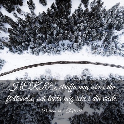 Picture 03 - Psaltaren 38:2 SV1917 - HERRE, straffa mig icke i din förtörnelse, och - Bible Verse Picture