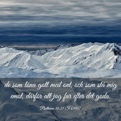 Picture 03 - Psaltaren 38:21 SV1917 - de som löna gott med ont, och som stå mig emot, - Bible Verse Picture
