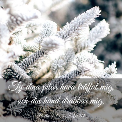 Picture 03 - Psaltaren 38:3 SV1917 - Ty dina pilar hava träffat mig, och din hand - Bible Verse Picture