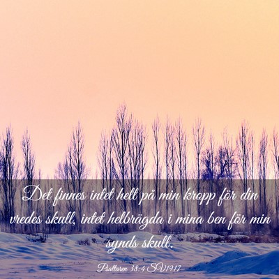 Picture 03 - Psaltaren 38:4 SV1917 - Det finnes intet helt på min kropp för din - Bible Verse Picture