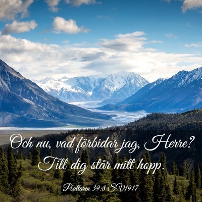 Picture 03 - Psaltaren 39:8 SV1917 - Och nu, vad förbidar jag, Herre? Till dig står - Bible Verse Picture