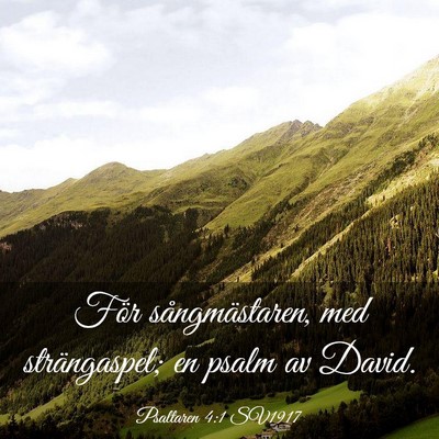Picture 03 - Psaltaren 4:1 SV1917 - För sångmästaren, med strängaspel; en psalm - Bible Verse Picture