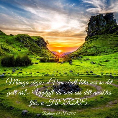 Picture 03 - Psaltaren 4:7 SV1917 - Många säga: »Vem skall låta oss se det gott - Bible Verse Picture