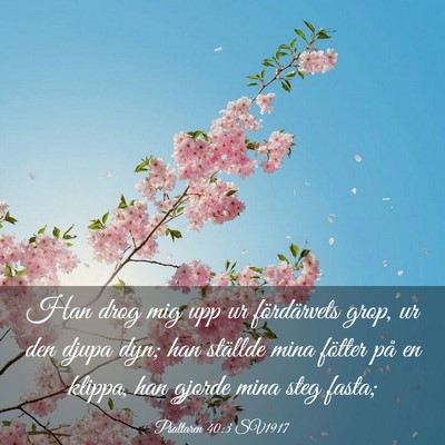 Picture 03 - Psaltaren 40:3 SV1917 - Han drog mig upp ur fördärvets grop, ur den - Bible Verse Picture