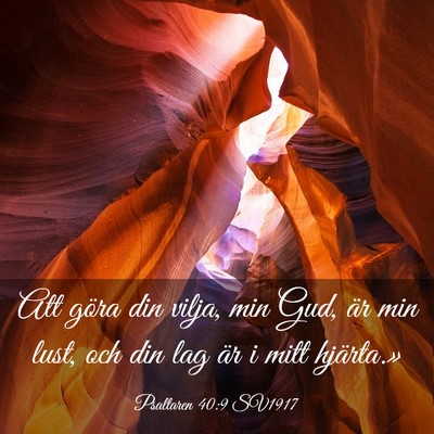 Picture 03 - Psaltaren 40:9 SV1917 - Att göra din vilja, min Gud, är min lust, och - Bible Verse Picture
