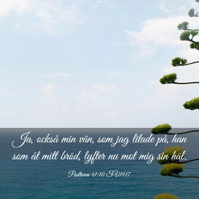 Picture 03 - Psaltaren 41:10 SV1917 - Ja, också min vän, som jag litade på, han som - Bible Verse Picture