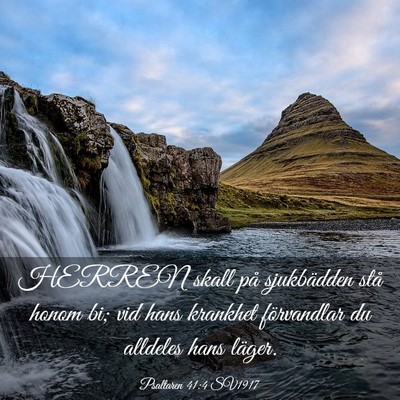 Picture 03 - Psaltaren 41:4 SV1917 - HERREN skall på sjukbädden stå honom bi; vid - Bible Verse Picture