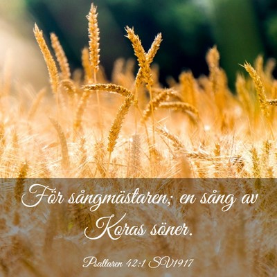Picture 03 - Psaltaren 42:1 SV1917 - För sångmästaren; en sång av Koras - Bible Verse Picture