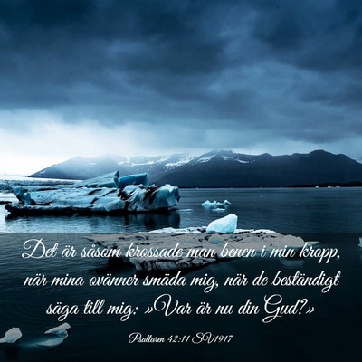Picture 03 - Psaltaren 42:11 SV1917 - Det är såsom krossade man benen i min kropp, - Bible Verse Picture
