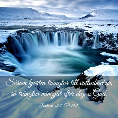 Picture 03 - Psaltaren 42:2 SV1917 - Såsom hjorten trängtar till vattenbäckar, så - Bible Verse Picture
