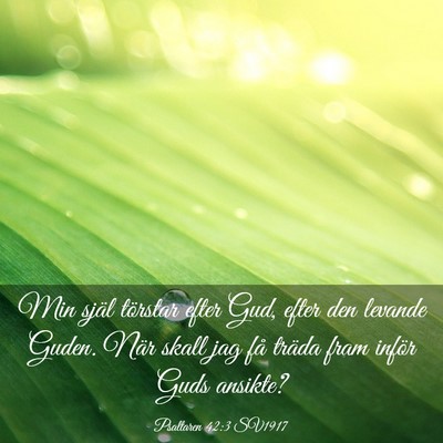 Picture 03 - Psaltaren 42:3 SV1917 - Min själ törstar efter Gud, efter den levande - Bible Verse Picture