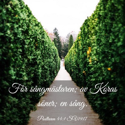 Picture 03 - Psaltaren 44:1 SV1917 - För sångmästaren; av Koras söner; en - Bible Verse Picture