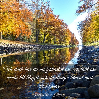 Picture 03 - Psaltaren 44:10 SV1917 - Och dock har du nu förkastat oss och låtit oss - Bible Verse Picture