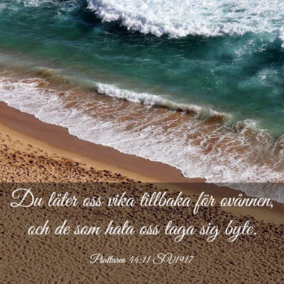 Picture 03 - Psaltaren 44:11 SV1917 - Du låter oss vika tillbaka för ovånnen, och de - Bible Verse Picture