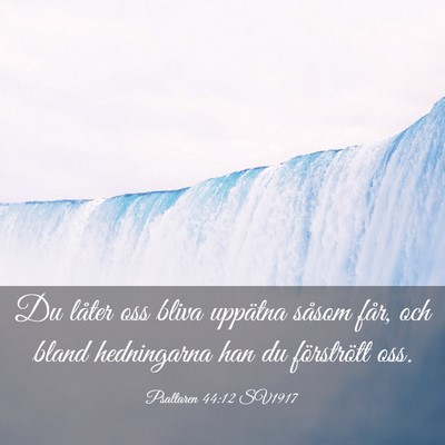 Picture 03 - Psaltaren 44:12 SV1917 - Du låter oss bliva uppätna såsom får, och - Bible Verse Picture