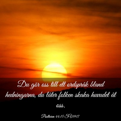 Picture 03 - Psaltaren 44:15 SV1917 - Du gör oss till ett ordspråk bland hedningarna, - Bible Verse Picture