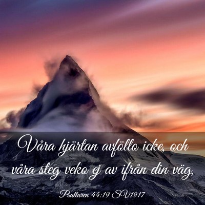 Picture 03 - Psaltaren 44:19 SV1917 - Våra hjärtan avföllo icke, och våra steg veko - Bible Verse Picture