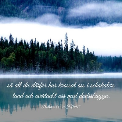 Picture 03 - Psaltaren 44:20 SV1917 - så att du därför har krossat oss i schakalers - Bible Verse Picture