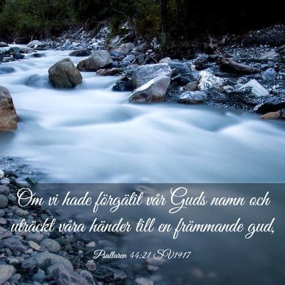 Picture 03 - Psaltaren 44:21 SV1917 - Om vi hade förgätit vår Guds namn och uträckt - Bible Verse Picture