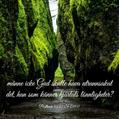Picture 03 - Psaltaren 44:22 SV1917 - månne icke Gud skulle hava utrannsakat det, han - Bible Verse Picture